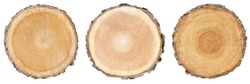 three wood slice cross section with tree rings that show age organic background isolated tree stump circle circles circular natural tree plant history 