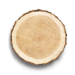 Flat cross section of tree stump slice with age rings and cracks. Shows wood grain and texture isolated on white background.
