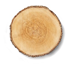 Aged cracked wooden tree section with rings and texture isolated on white. Circular background with an organic feel.
