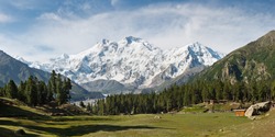 Nanga Parbat and Fairy Meadows Panorama, Himalaya, Pakistan. The ninth highest mountain in the world and western anchor of the Himalaya seen from the idyllic Fairy Meadows, Pakistan.