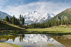 Nanga Parbat reflected in a pond at Fairy Meadows. The world's ninth highest mountain towering above idyllic alpine scenery in Northern Pakistan.
