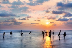 Fishermen on the stilts in silhouette at the sunset in Sri Lanka.