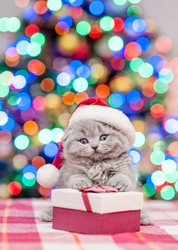 Cute kitten in red santa hat sitting on gift box with Christmas tree on background. Empty space for text