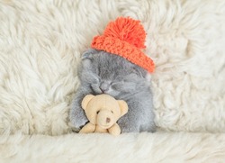 Cozy tiny kitten wearing tiny warm hat sleeps with favorite toy bear under warm blanket on a bed at home. Top down view