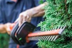 Gardener trimming overgrown green bush by electric hedge clippers. Selective focus, motion blur. Man cutting thuja in garden. Gardening at backyard. Unrecognizable person