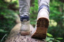 Hiking boot. Hiker walking at fallen tree trunk in forest. Tourist wearing leather shoes. Adventure in nature