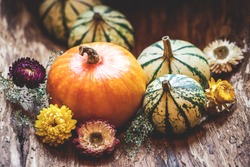 Pumpkins and dried flower. Thanksgiving day or halloween, autumn greeting background. Fall season still life concept
