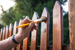 Man painting wood stain at timber plank in garden. Paint protective varnish on wooden picket fence at backyard