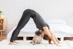 Asian woman practice yoga Downward Facing dog to meditation and kissing her dog pug breed enjoy and relax with yoga. Spending time and playing with dog at home. Recreation love with Dog Concept
