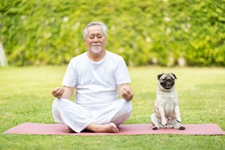 Calm of Healthy Asian Elderly man with white hairs exercise yoga lotus pose on yoga mat for meditation with dog pug breed on green grass at park,Wellness Senior Recreation with yoga and dog concept
