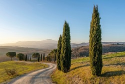 A dirt road bordered by a line of cypress trees in the Tuscan countryside near Siena, Italy	