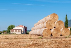 Large stack of hay bales on a drought scorched field in the countryside of Bientina, Pisa, Italy