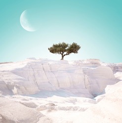 Lonely tree on a white island with a huge moon in the background on a turquoise background, white sandy beach Sarakiniko in Greece
