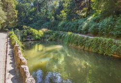 Picturesque pond with fish in the Pena park near the famous Pena National Palace. Sintra, Portugal