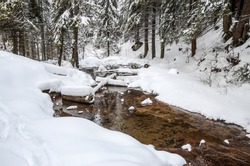 Mountain stream in winter. Snow covered trees in nature. River in pine forest. Landscape in February. Cascading creek in wilderness. 