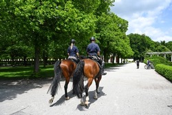 Police patrol on the horses in city park. Policeman. 