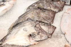 Fish for sale in market. John Dory or Peter's fish.