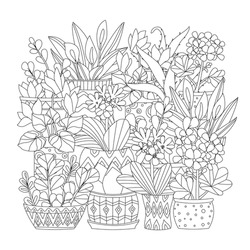 lovely collection of houseplants in decorative flowerpots with geometric ornament for your coloring book