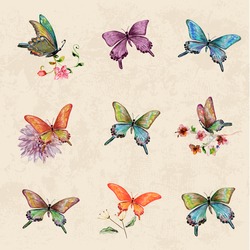 vintage a collection of butterflies. watercolor painting