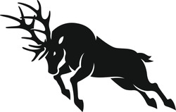 Silhouette of Male Deer Fighting with Its Antler