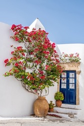 Greek island typical architecture. Kythira Chora town, Greece. Blue wooden door and red bougainvillea on whitewashed house wall. Sunny summer day