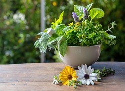 Fresh herbs in a mortar, herbal medicine, alternative healing. Mint, rosemary, basil and lavender aromatic leaves, on a wooden table, copy space