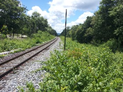 Railway tracks and nature along the way at Lampang, Thailand.
