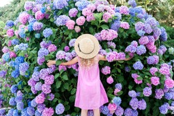 Little girl hugging big hydrangea bushes in garden. Pink, blue, lilac Flowers blooming in spring and summer. Kid wearing in pink dress, straw hat. Romantic concept of childhood, tenderness.
