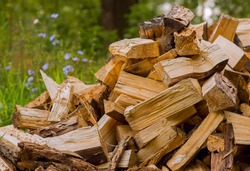 Firewood on green grass background. Select focus.