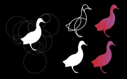 golden ratio logo. Duck Logo Template Made With Golden Ratio Principles.