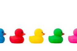 A row of rubber ducks on a white background. Bright colored rubber ducks in a line. Rubber ducks in a row isolated on a white background.