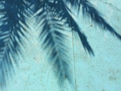 Palm tree shadow on a blue green background. 