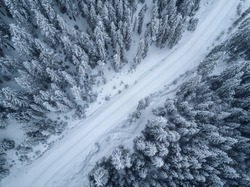aerial  view of forest covered with snow 
,bird's eye view