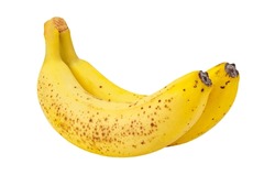 Bananas two pieces overripe with brown spots, isolated on white background with clipping path