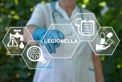 Legionella test medical concept. Legionella pneumophila bacteria in human lungs diagnosis - causative agent of legionnaire's disease.