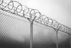 Barbed wire - restricted area, black and white