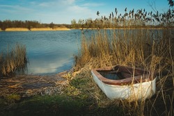 Boat in the grass on the shore of the lake, sunny day