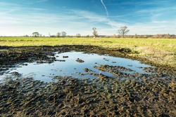 Water and mud in the meadow, the horizon and clouds on the blue sky