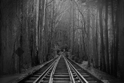 Black and White Photography of Train Tracks or Rail Roads in the Magical Fantasy Forest Woods.