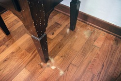 Common Furniture Beetle Damage, bedside table ruined by a house borer
