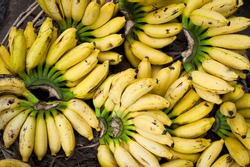 Tropical fruits natural background. Fresh bananas at market place