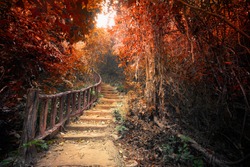 Fantasy forest in autumn surreal colors. Road path way through dense trees. Concept landscape for mysterious background