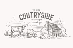 Sketch of cows and farmer house. Hand drawn. Vector.