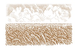 Wheat field illustration, vector. 2 layers.