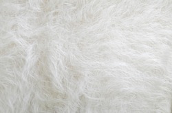 White wool fur texture background. Natural fluffy fur sheep wool skin texture. Real wool fur of sheep, close up, soft focus