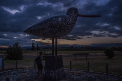 Giant sculpture of an Oystercatcher, Seabird Coast, Firth of Thames New Zealand 