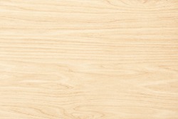 wood texture, top view. light wood background. natural pattern on a wooden surface