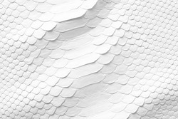 natural snake skin texture, white leather background