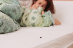 Woman in bedroom terrified by brown stink bug walking on her bed