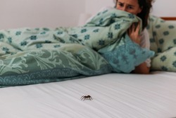 Woman in bedroom terrified by big spider crawling over her bed